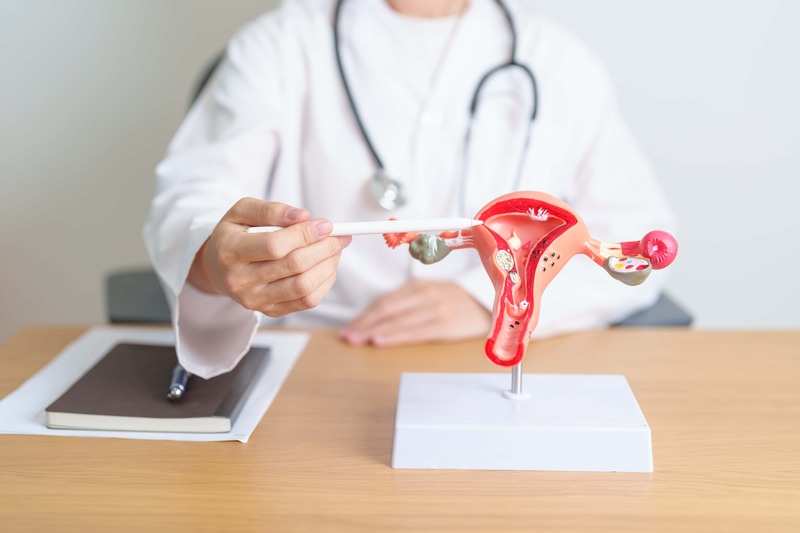 Balanced Portion Meals in the Management of PCOS