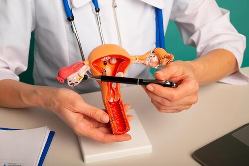 Tuboplasty